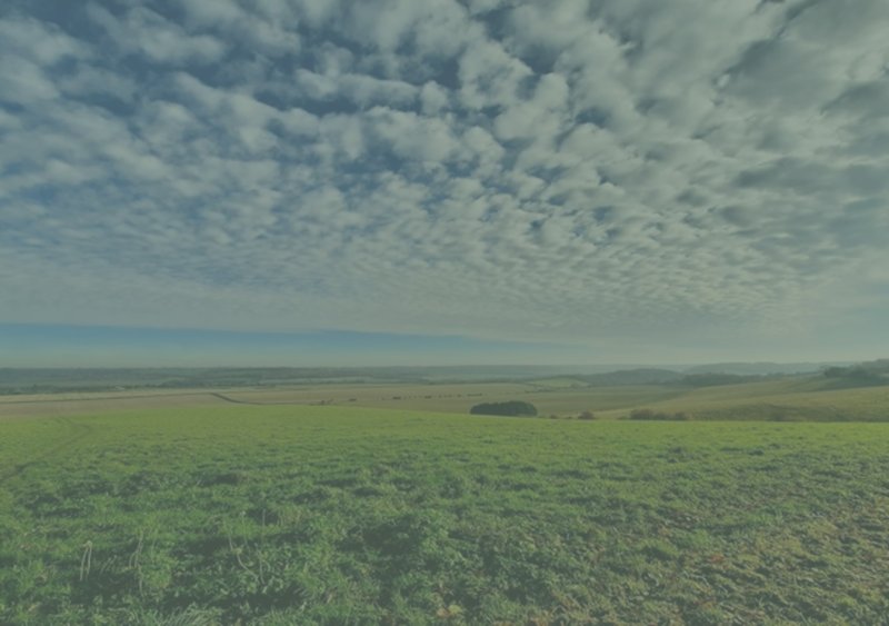 The Ridge Practice, Therapeutic Counselling Service