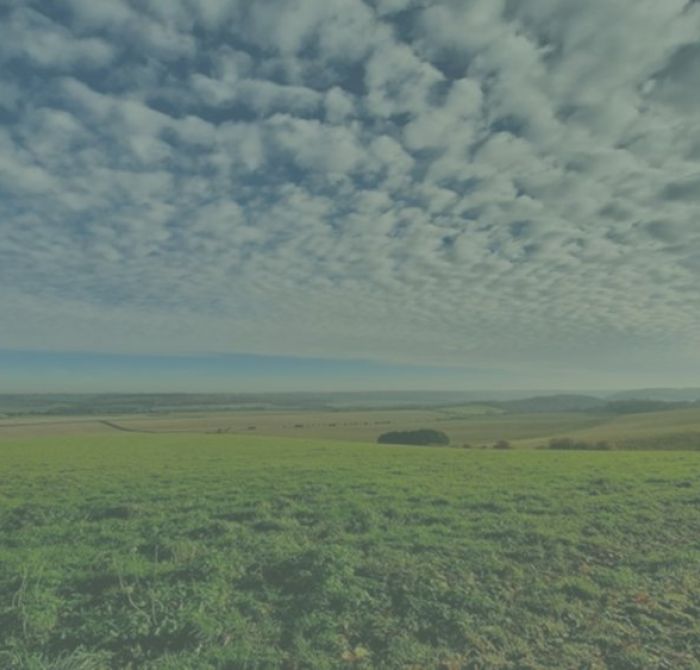 The Ridge Practice, Therapeutic Counselling Service