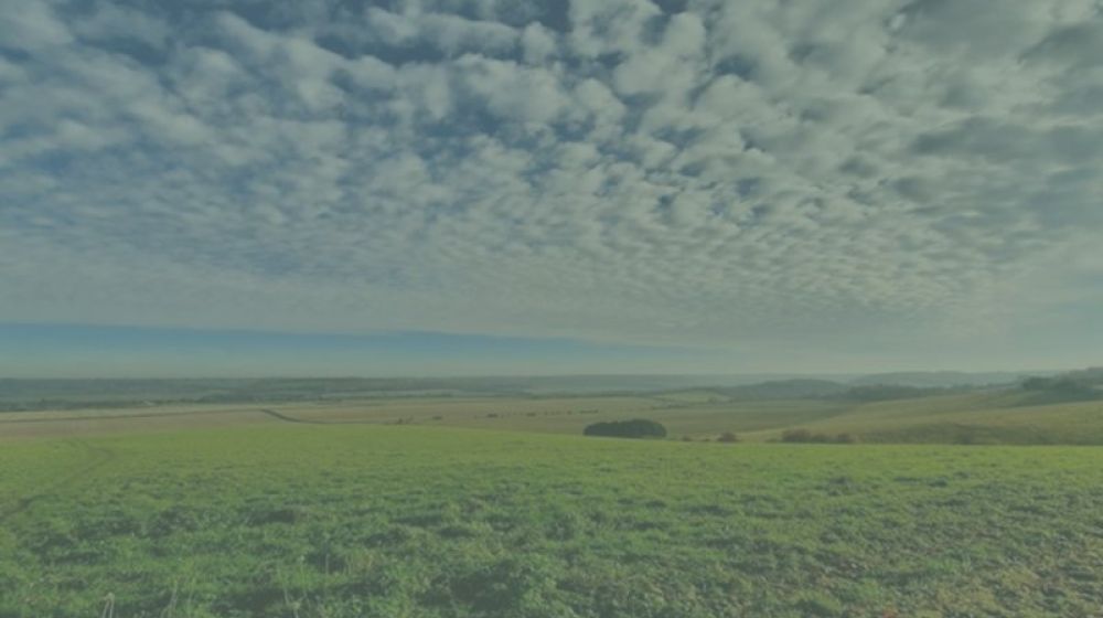 The Ridge Practice, Therapeutic Counselling Service